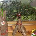 SAM_0373 (2)